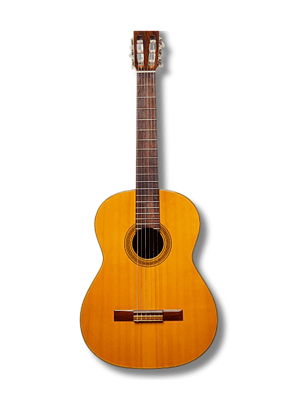 LOLADA Müzik Dersleri Eğitim Kursları Kartal İstanbul Türkiye